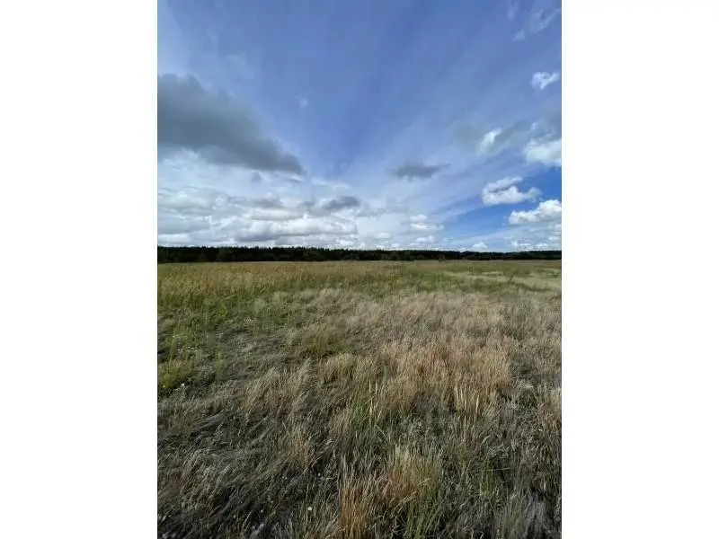Фото Продаю земельный участок, Абрамовка, цена: 80836 UAH, код 5494