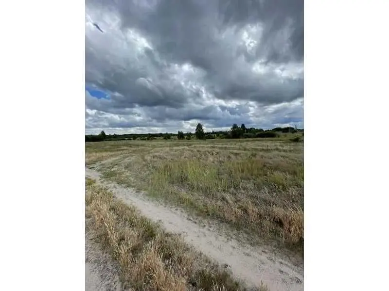 Фото Продаю земельный участок, Абрамовка, цена: 80836 UAH, код 5494