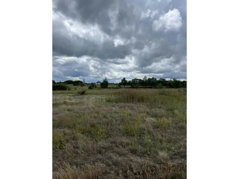 Фото Продаю земельный участок, Абрамовка, цена: 80836 UAH, код 5494