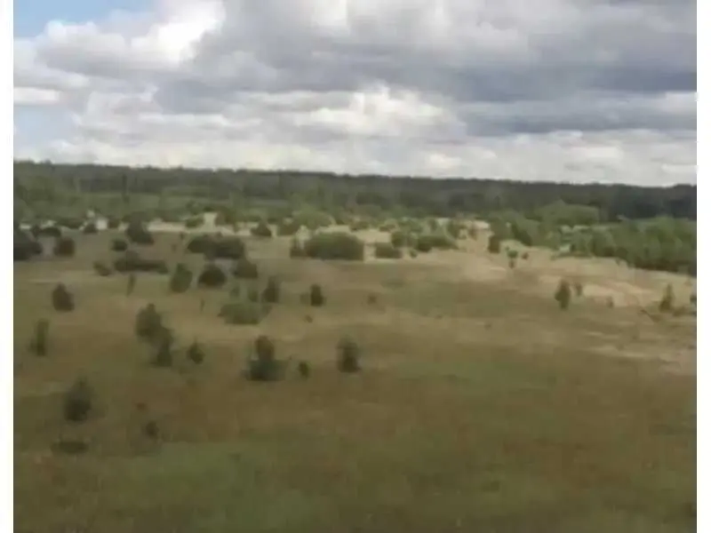Фото Продаю земельный участок, Абрамовка, цена: 80836 UAH, код 5494