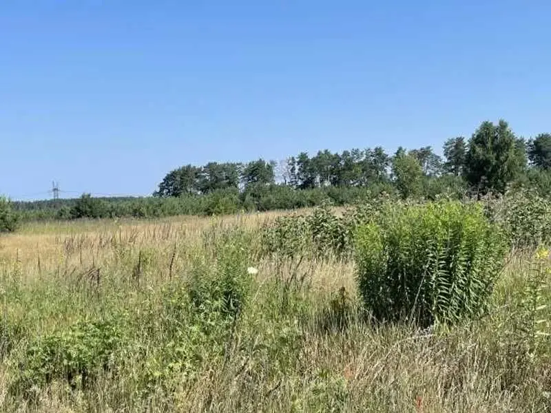 Фото Продаю земельный участок, Рожівка, цена: 528301 UAH, код 5497