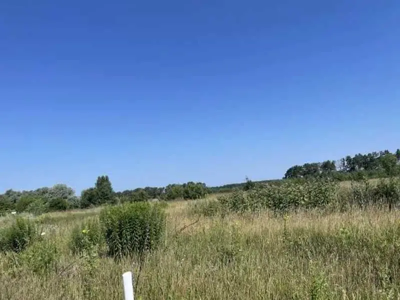 Фото Продаю земельный участок, Рожівка, цена: 528301 UAH, код 5497