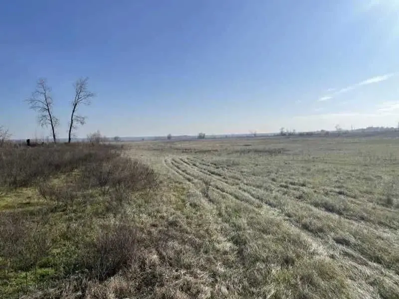 Фото Продаю земельный участок, Центральная ул.  Пухівка, цена: 145733 UAH, код 5498