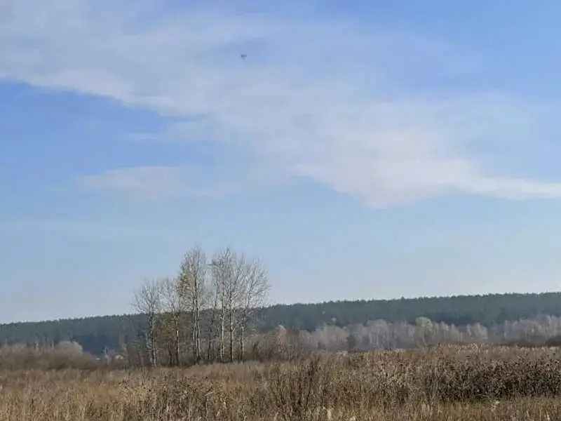 Фото Продаю земельный участок, Новая ул.  Пухівка, цена: 265736 UAH, код 5499
