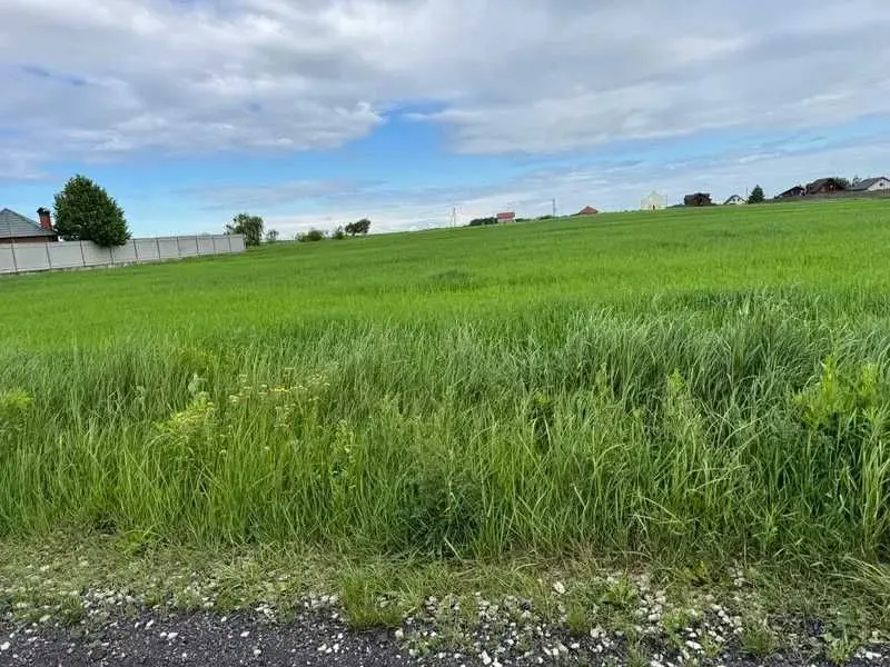 Фото Продаю земельный участок, Великая Старица, цена: 256982 UAH, код 5510