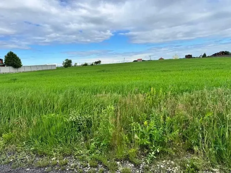 Фото Продаю земельный участок, Великая Старица, цена: 256982 UAH, код 5510