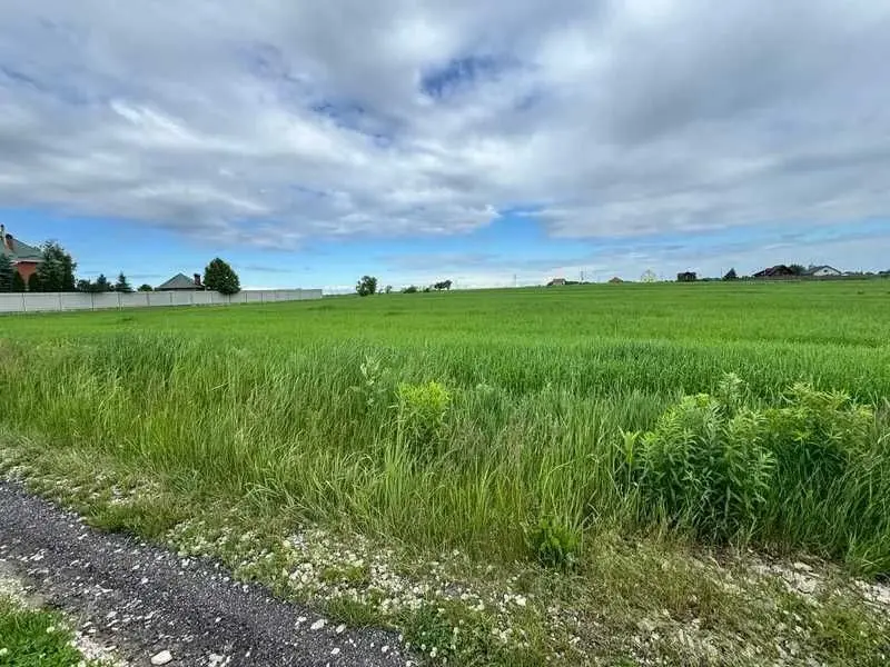 Фото Продаю земельный участок, Великая Старица, цена: 256982 UAH, код 5510