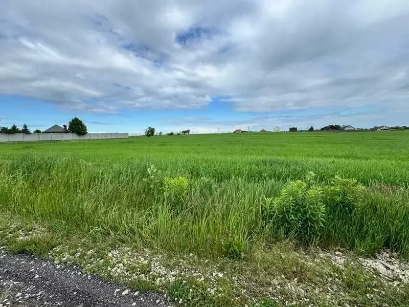 Фото Продаю земельный участок, Великая Старица, цена: 256982 UAH, код 5510