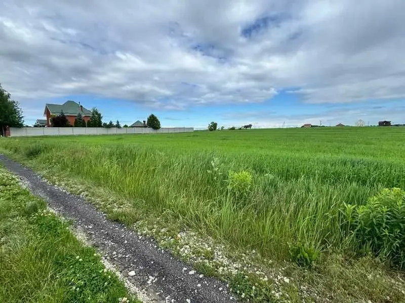 Фото Продаю земельный участок, Великая Старица, цена: 256982 UAH, код 5510