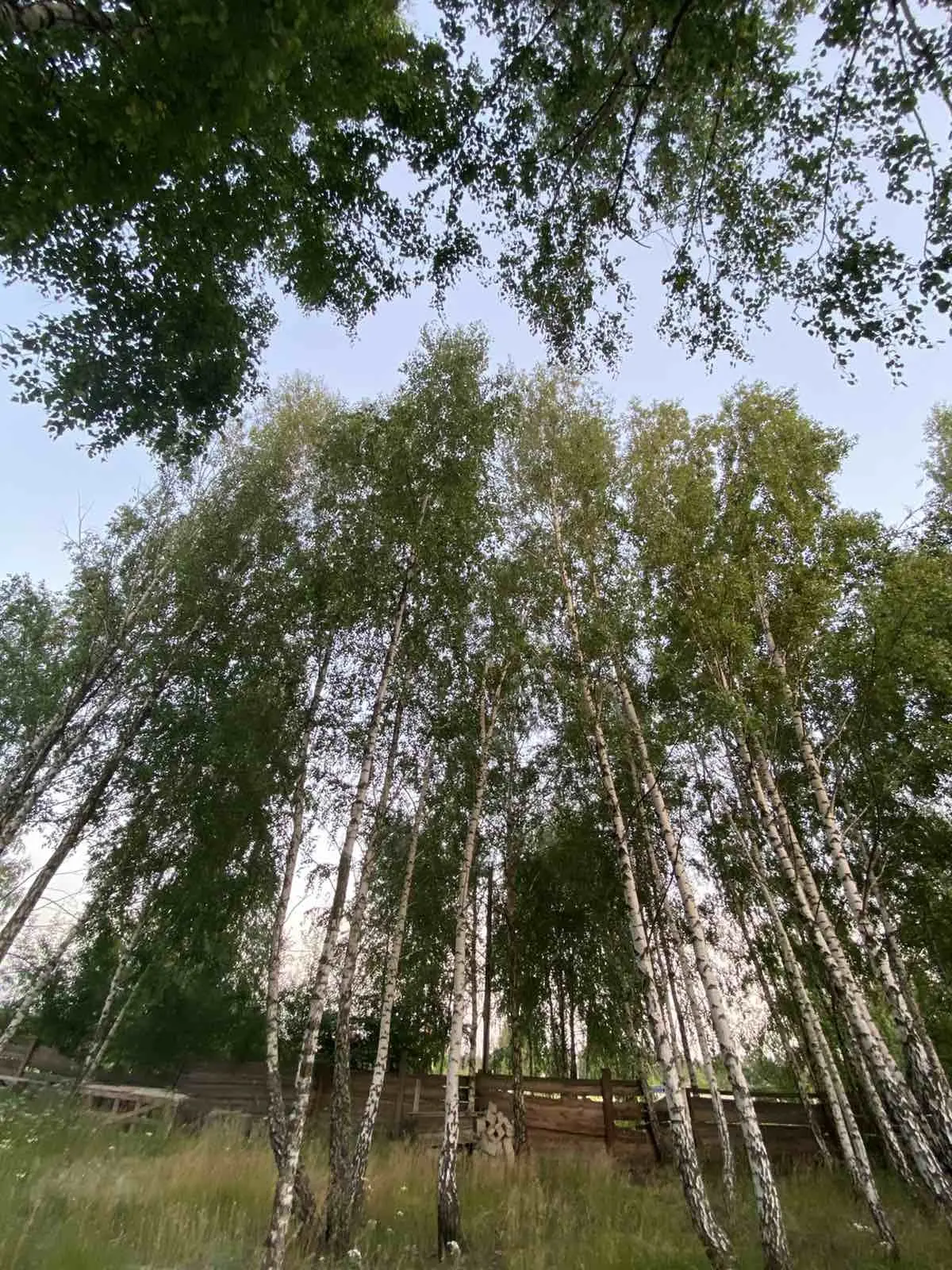 Фото Продаю будинок, 299 кв. м, Дмитрівка, ціна: 275000 $, код 5521