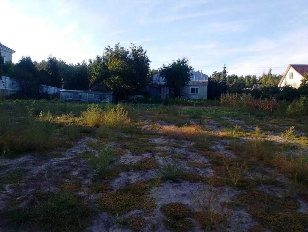 Фото Продаю земельну ділянку, Лісова вул.  Зазим’я, ціна: 95000 USD, код 5536