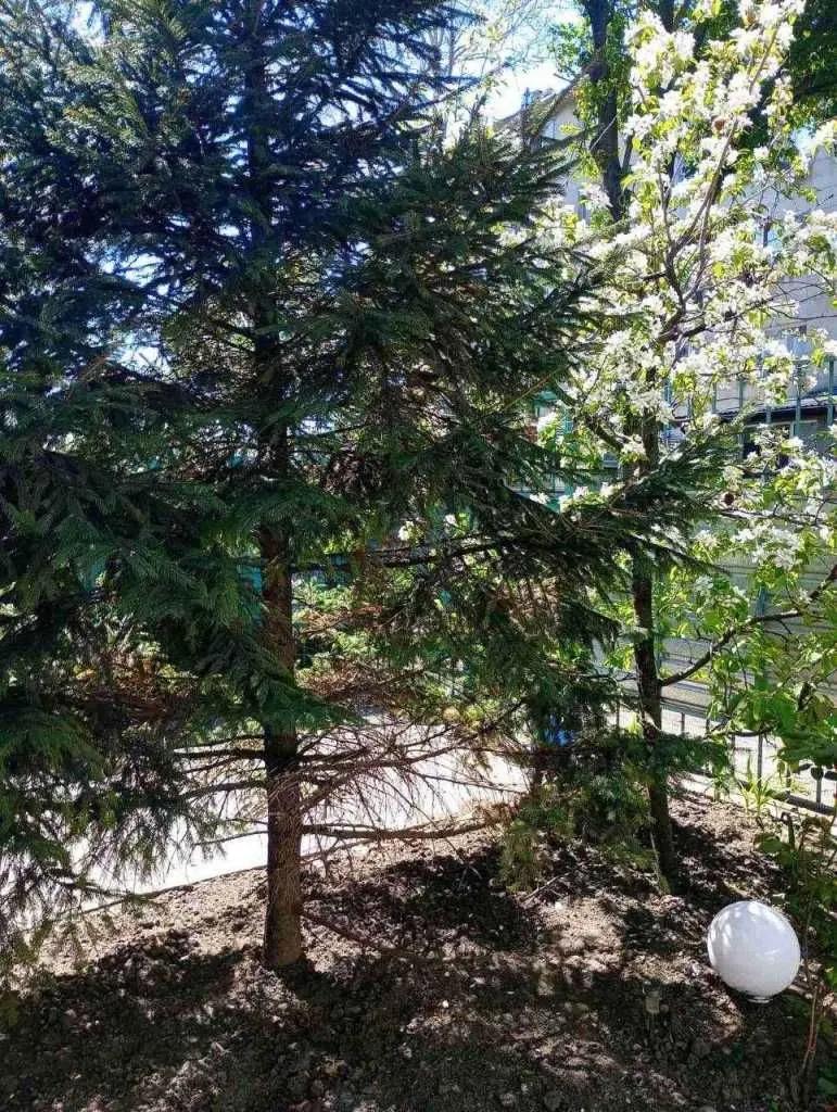 Фото Selling a 2-room apartment, 73 sq.m., Jukhyma Fesenka street  Odesa, price: 45000 USD, code 5547