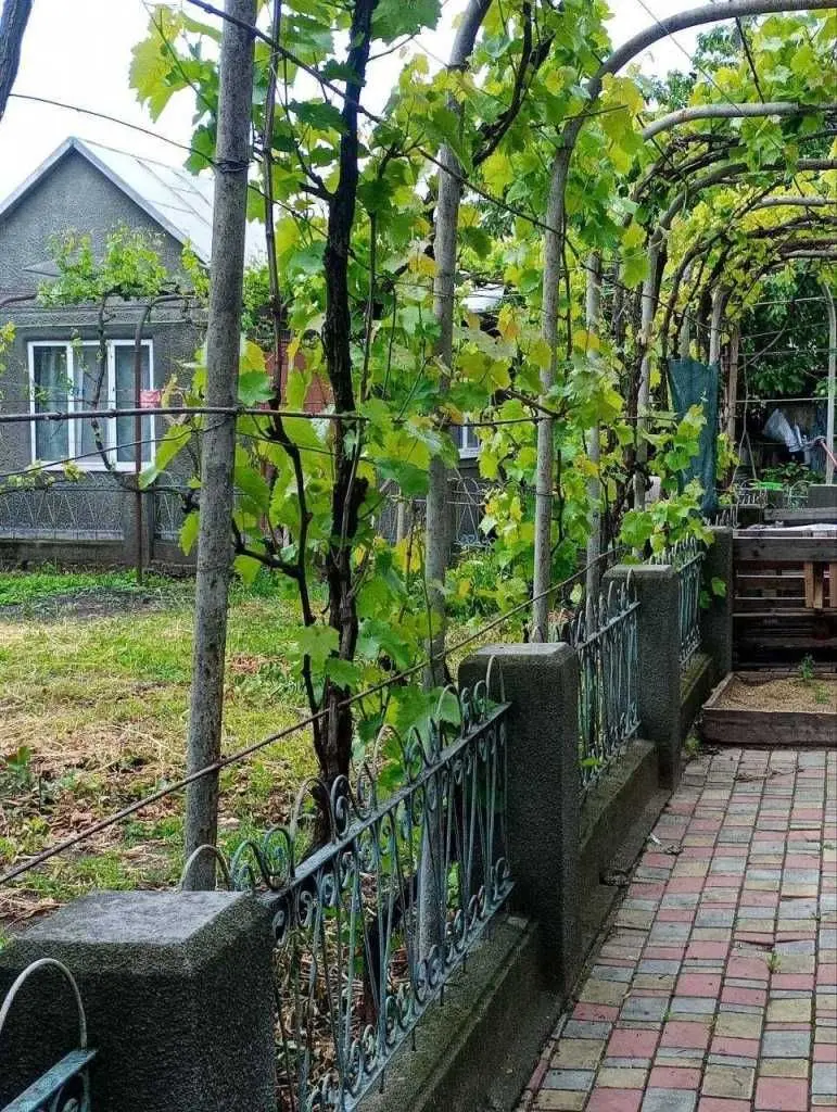 Фото Продаю 3 кімнатну квартиру, 62 кв. м, Педагогічна вул.  Одеса, ціна: 85000 USD, код 5553
