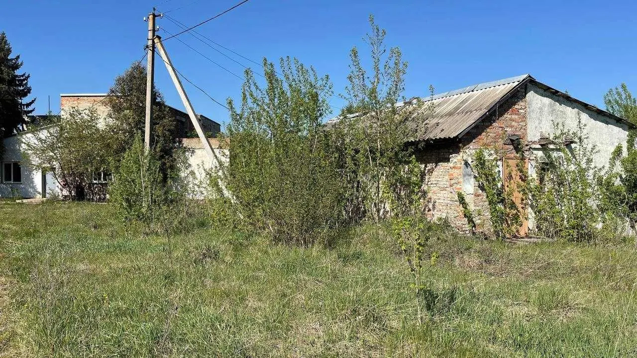 Фото Продаю офіс, 458.5 кв. м, Ярмолинці, ціна: 120000 USD, код 5639