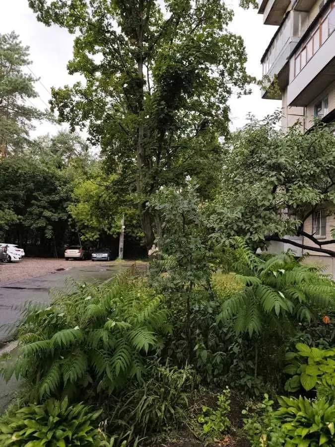 Фото Снять 1-комнатную квартиру, Лесной просп. 7 Киев в долгосрочную аренду, цена: 11000 UAH, код 5644