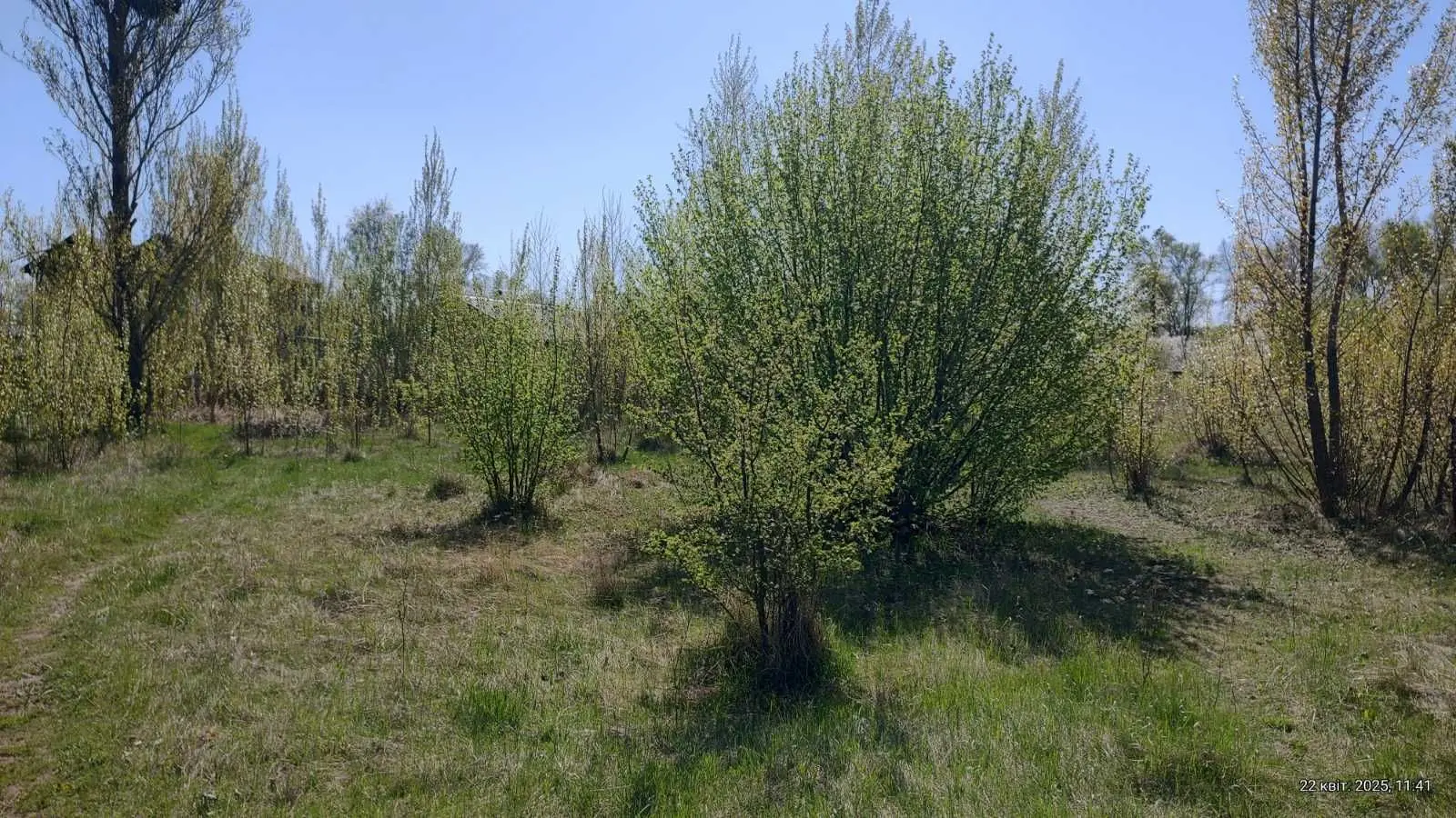 Фото Selling a land plot, Virnosti street  Kyiv, price: 40000 USD, code 5648