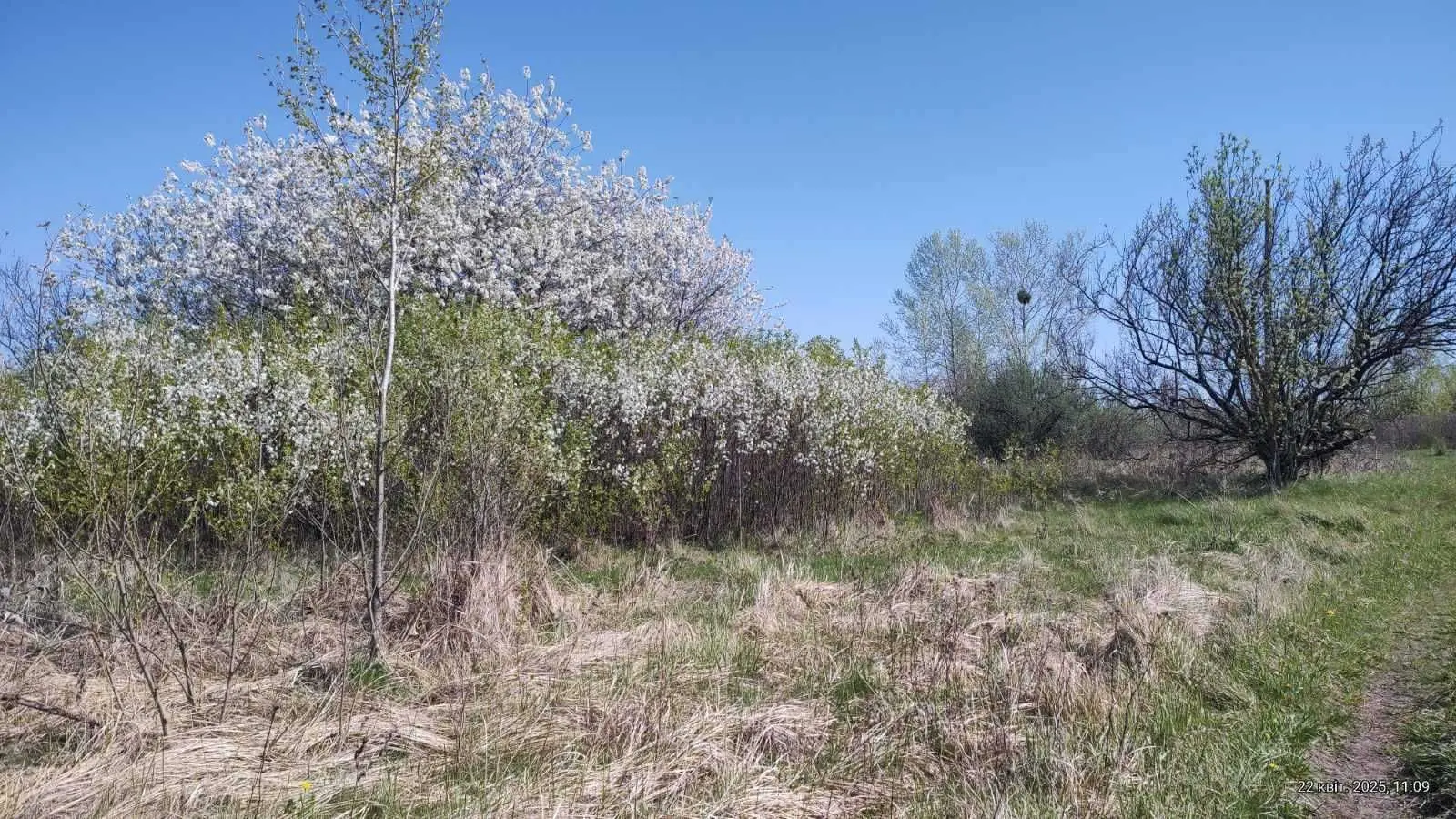 Фото Selling a land plot, Virnosti street  Kyiv, price: 40000 USD, code 5648