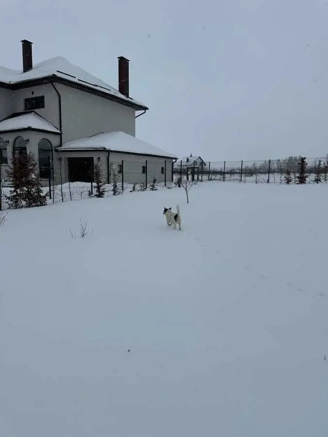 Фото Продаю дом, 228.4 кв. м, Богданівка, цена: 160000 USD, код 5673