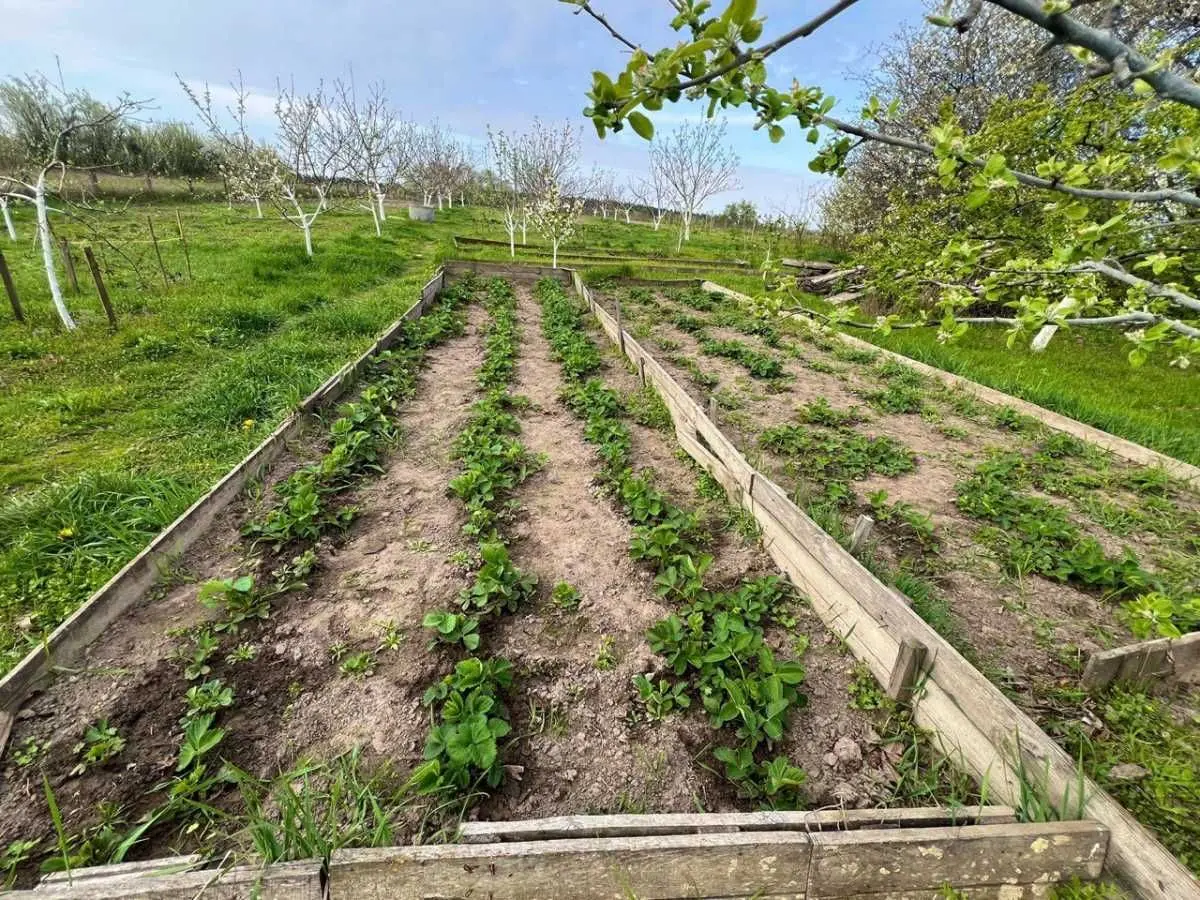Фото Продаю будинок, 126 кв. м, Ватутіна вул.  Неграші, ціна: 117000 USD, код 5744