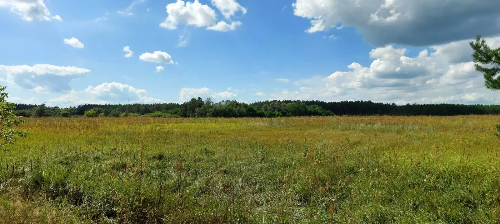 Фото Selling a land plot, Oster, price: 15000 USD, code 5810