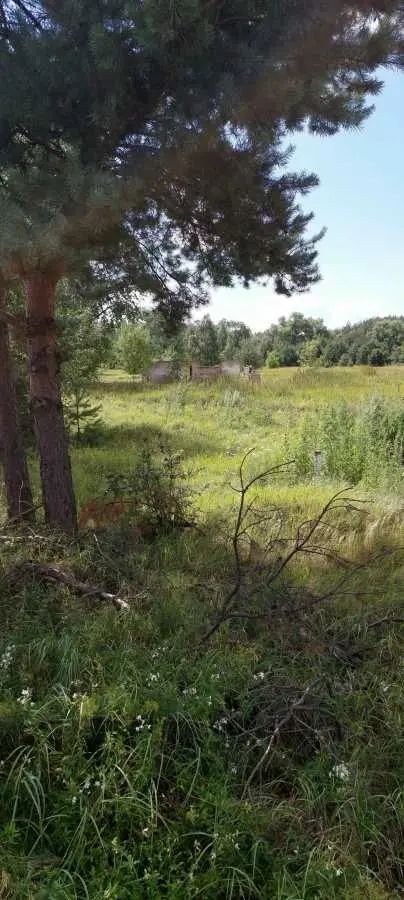 Фото Selling a land plot, Oster, price: 15000 USD, code 5810