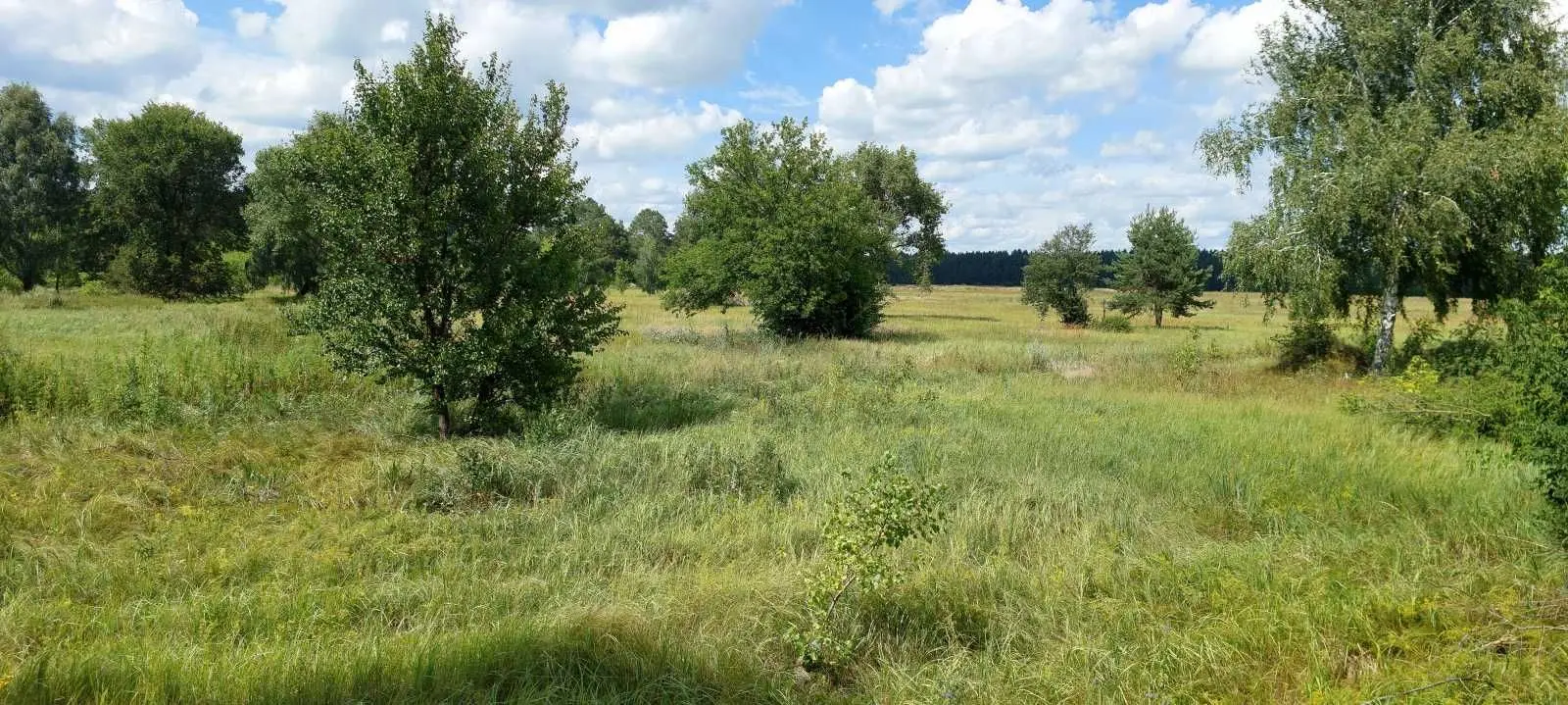 Фото Selling a land plot, Oster, price: 15000 USD, code 5810