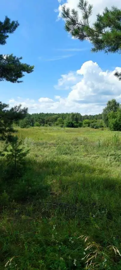 Фото Selling a land plot, Oster, price: 15000 USD, code 5810
