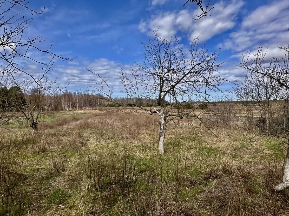 Фото Продаю дом, 50 кв. м, Плахтянка, цена: 15800 USD, код 5834