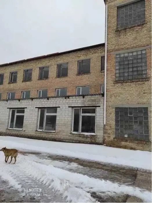 Фото Selling a warehouse, 6800 sq.m., Borodyanka, price: 900000 $, code 5846