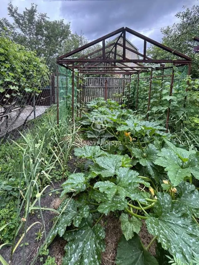 Фото Продаю дом, 120 кв. м, Лесная ул.  Бабинцы, цена: 130000 USD, код 5855