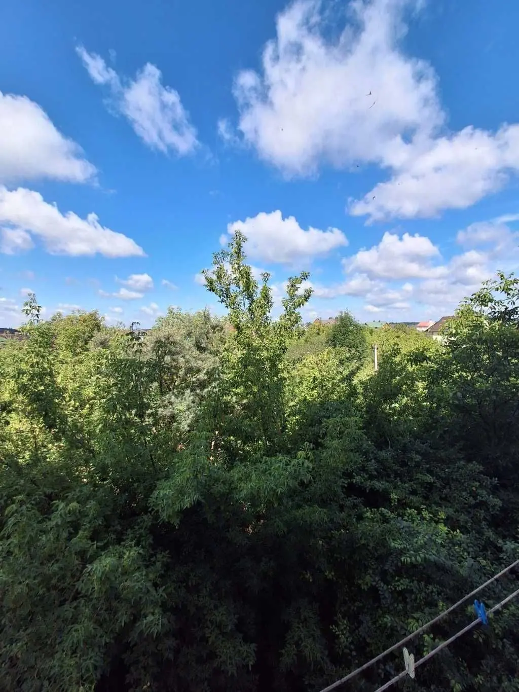 Фото Selling a 2-room apartment, 43 sq.m., Skvyrske Road 250 Bila Tserkva, price: 45000 USD, code 5870
