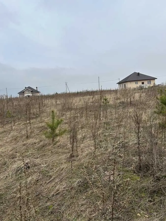 Фото Selling a land plot, Rozhivka, price: 12000 USD, code 5897
