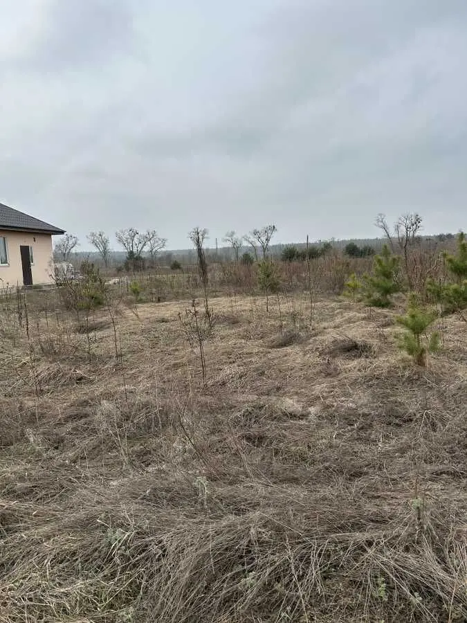 Фото Selling a land plot, Rozhivka, price: 12000 USD, code 5897