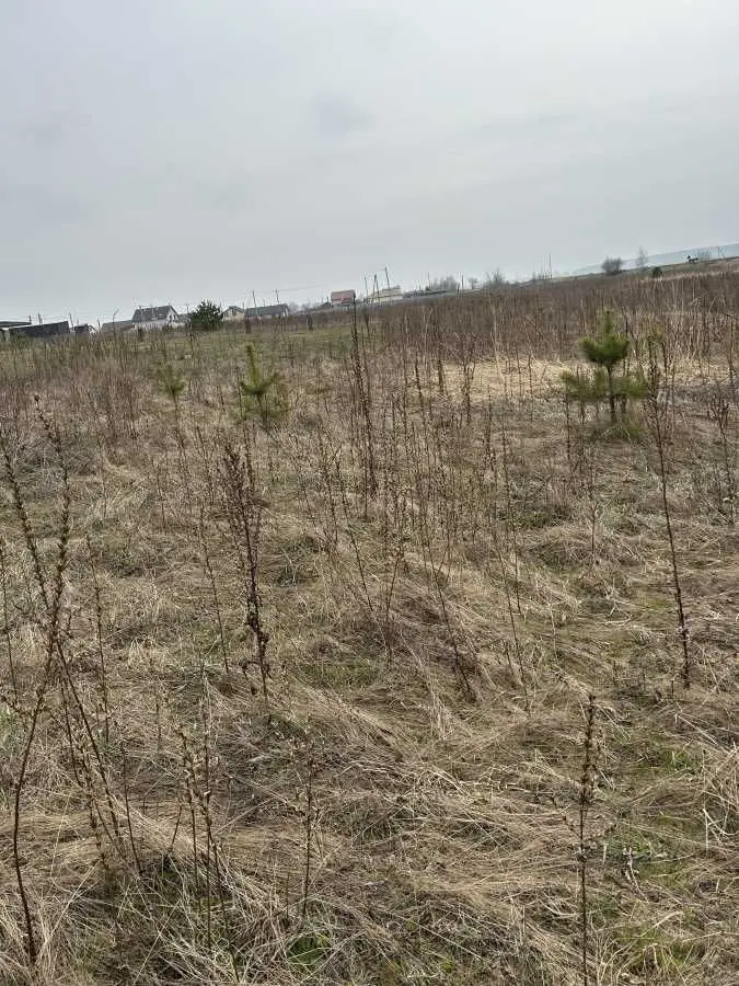 Фото Selling a land plot, Rozhivka, price: 12000 USD, code 5897