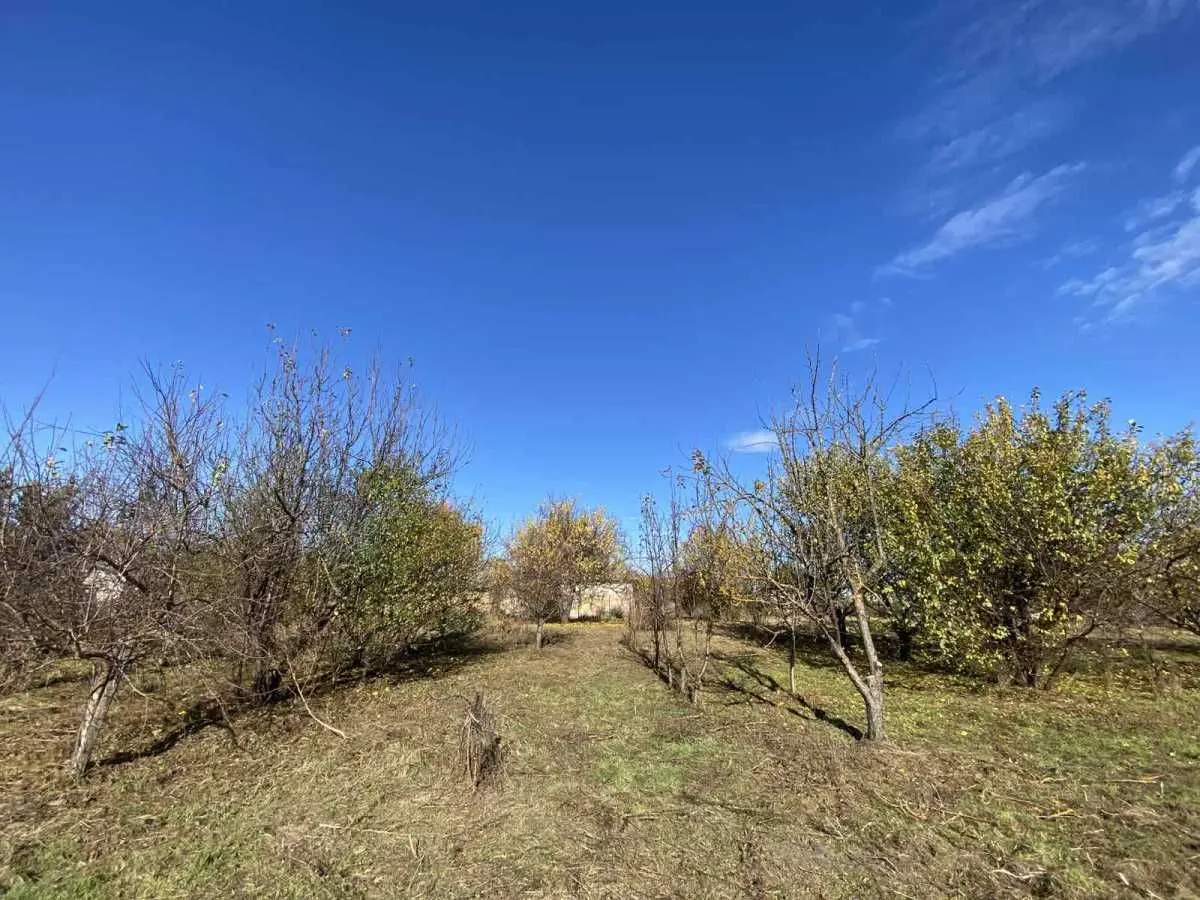 Фото Продаю дом, 50 кв. м, Народна ул. (Пролетарская)  Иванков, цена: 25000 USD, код 5912