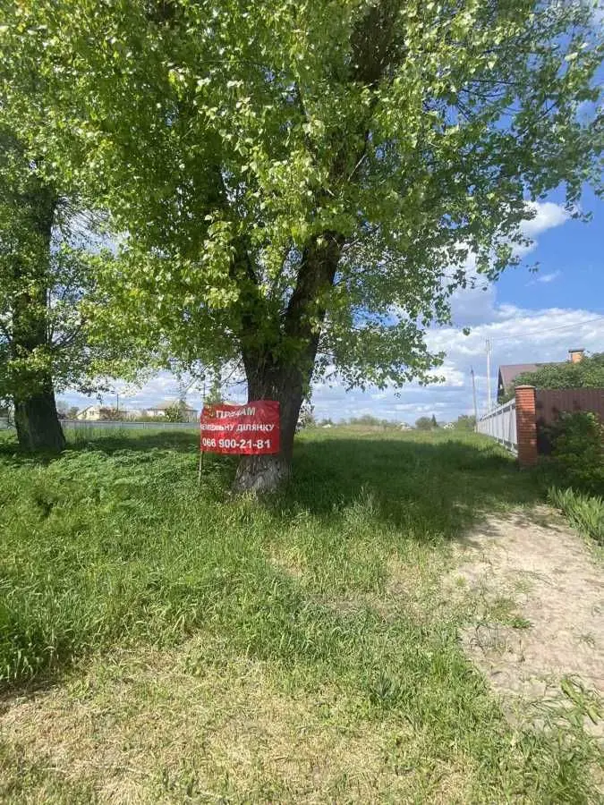 Фото Selling a land plot, Dzherelna Street  Ivankiv, price: 15000 USD, code 5915