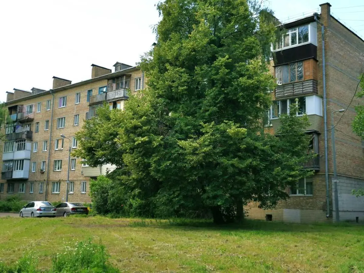 Фото Продаю 1-комнатную квартиру, 31.4 кв. м, Киев, цена: 37000 USD, код 6027