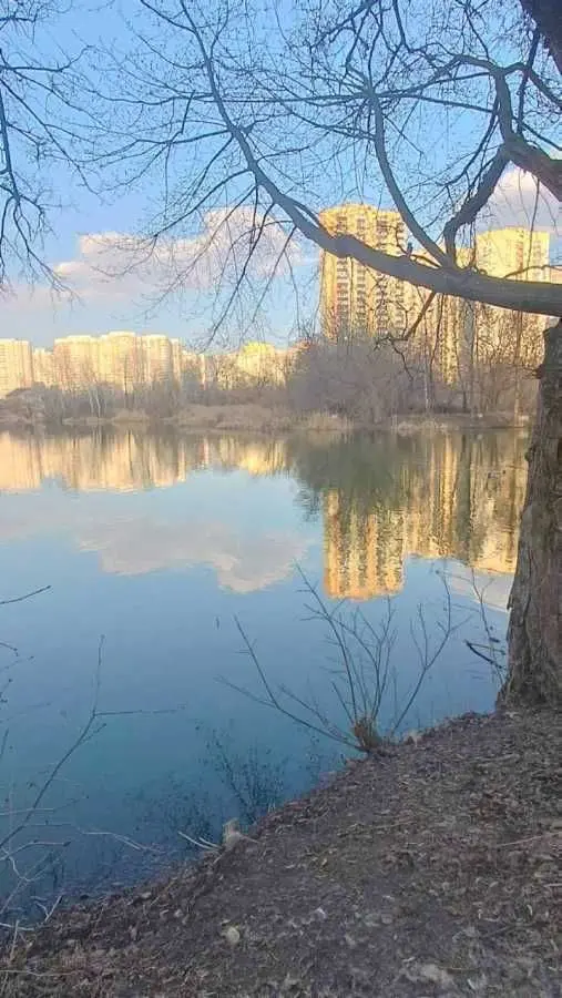 Фото Продаю 1 кімнатну квартиру, 43.3 кв. м, Урлівська вул.  Київ, ціна: 63000 USD, код 6069
