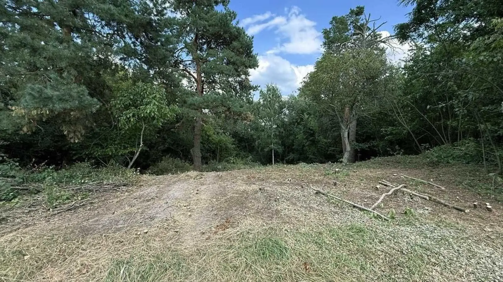 Фото Продаю земельну ділянку, Андрія Малишка вул.  Плюти, ціна: 99000 USD, код 6073