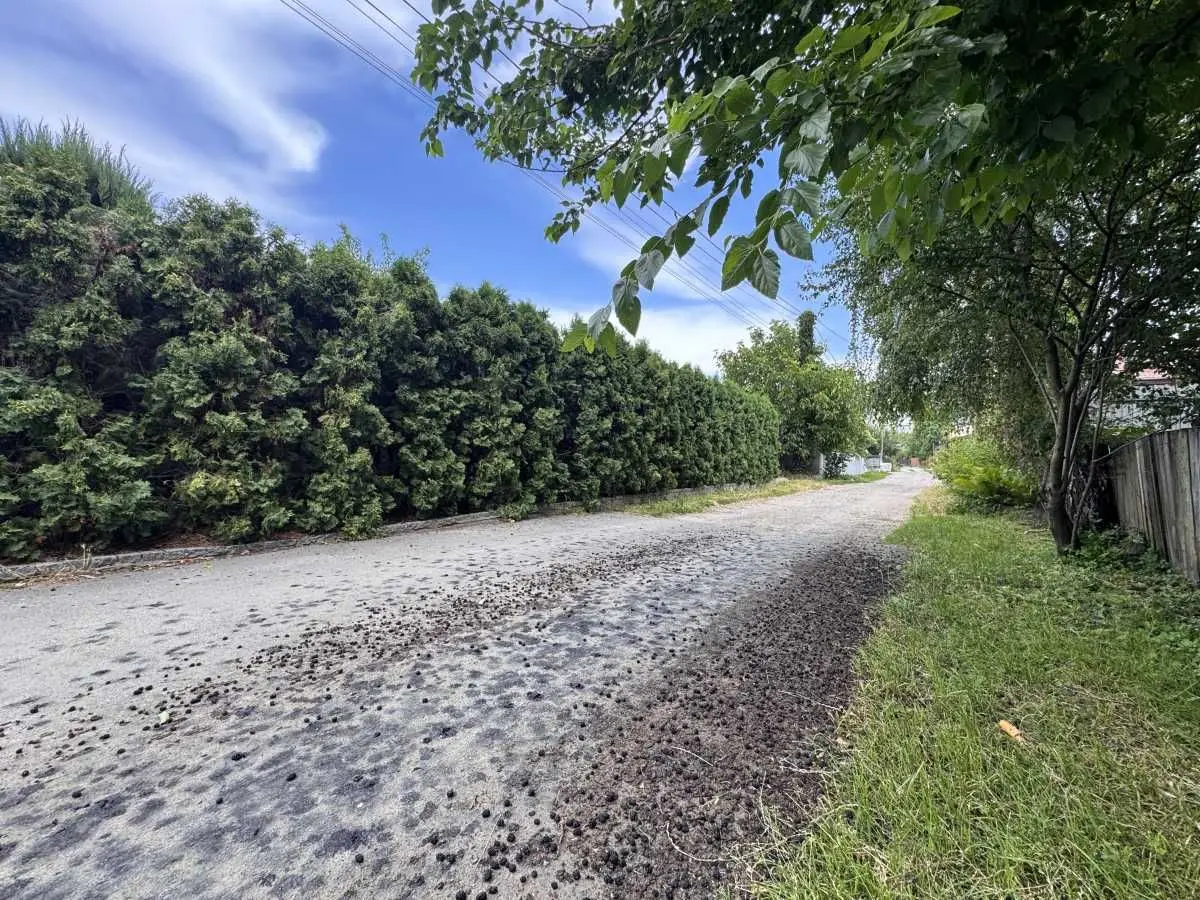 Фото Продаю земельну ділянку, 50-а Садова вул.  Київ, ціна: 65000 USD, код 6187