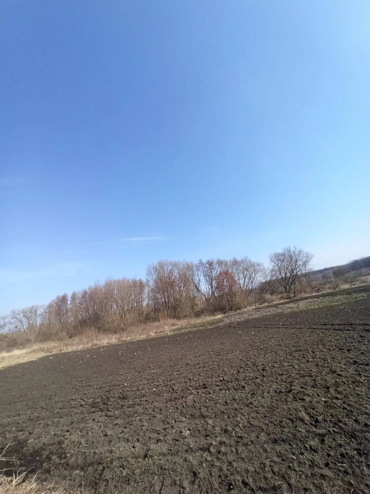 Фото Продаю дом, 29.8 кв. м, Сквира, цена: 7000 $, код 6221