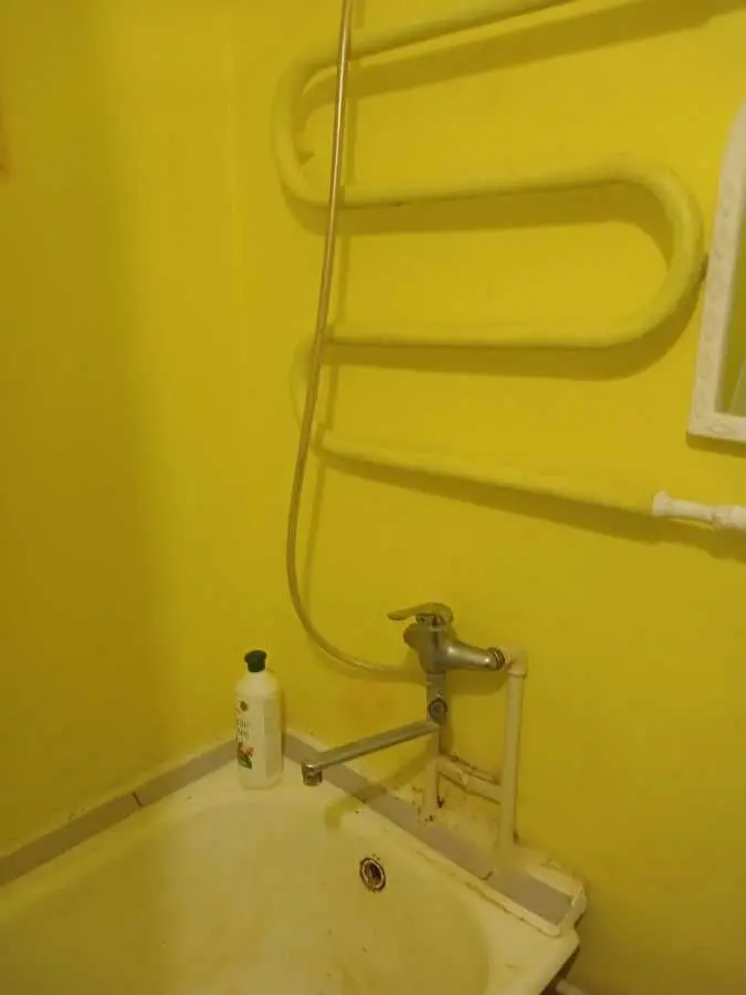 Фото Rent a 1-room apartment, Almatynska Street (Alma-Atynska Street) 2 Kyiv for long-term rent, price: 7000 UAH, code 6293