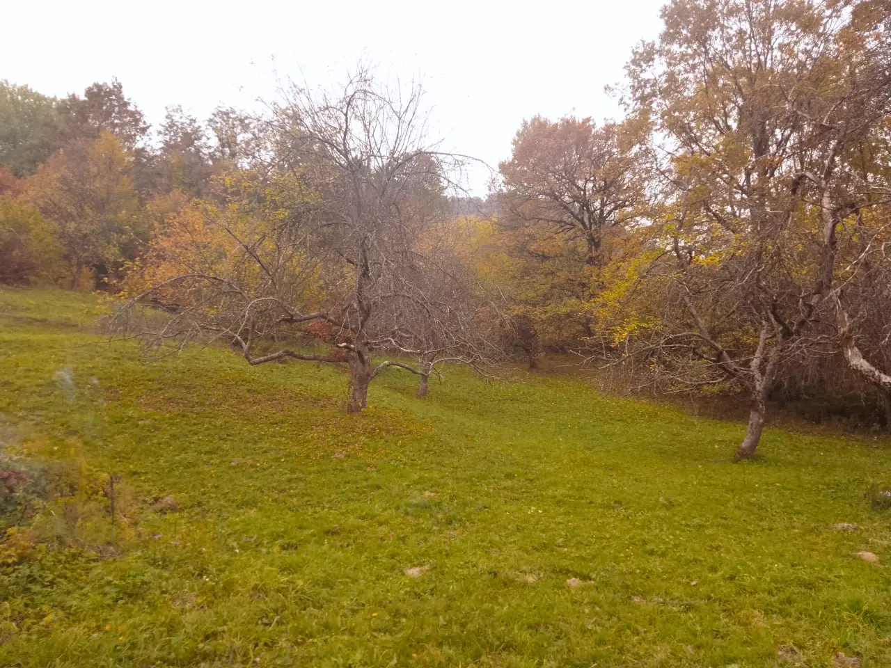 Фото Продаю земельну ділянку, Шаян, ціна: 2250000 EUR, код 6297