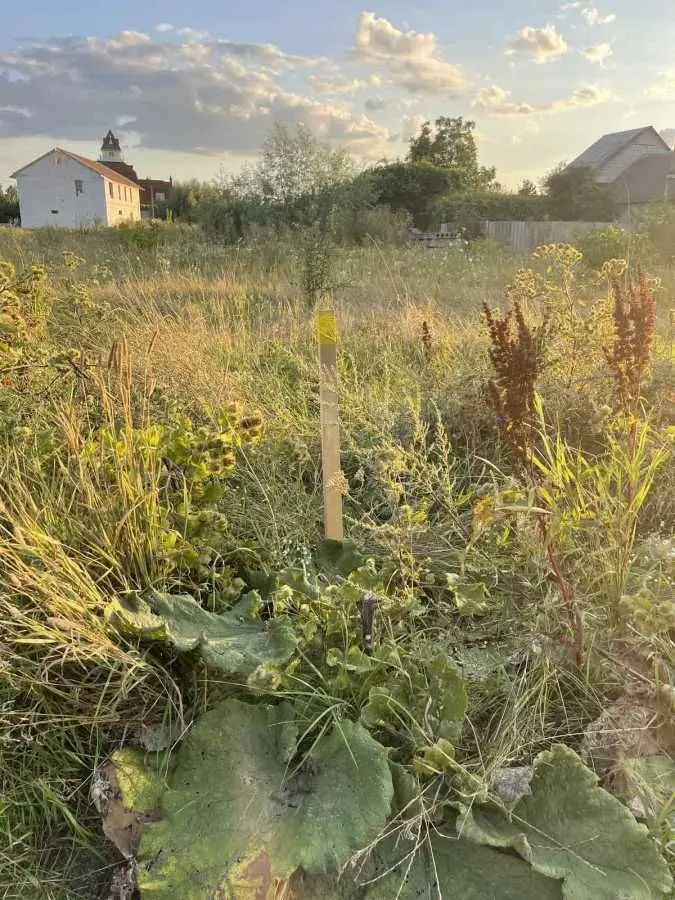 Фото Продаю земельну ділянку, Липнева вул. (Щорса)  Зазим’я, ціна: 65000 USD, код 6361