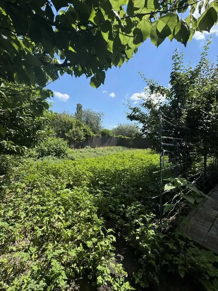 Фото Selling a house, 85 sq.m., Kotsiubynskoho Street  Bila Tserkva, price: 124999 USD, code 6410