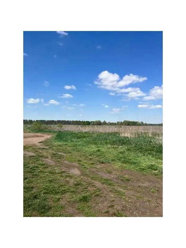 Фото Продаю земельну ділянку, Озера, ціна: 266400 UAH, код 6425