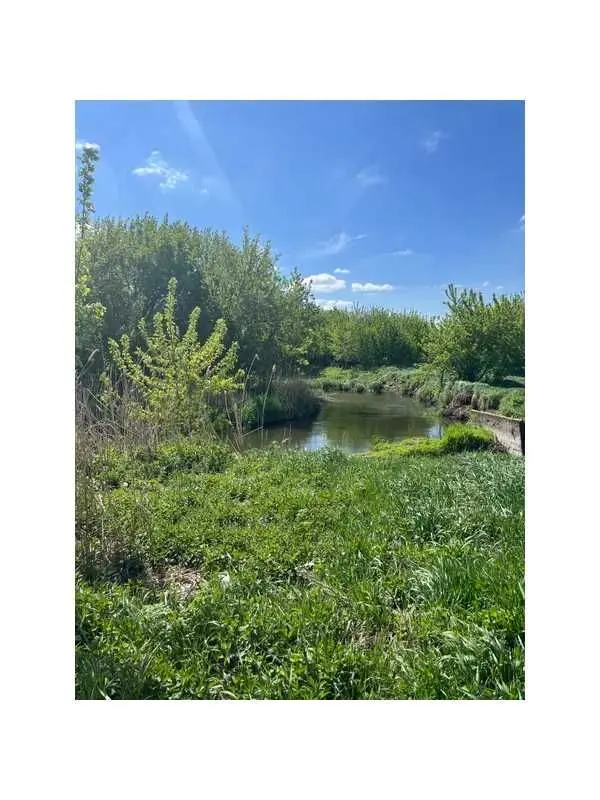 Фото Продаю земельну ділянку, Озера, ціна: 266400 UAH, код 6425