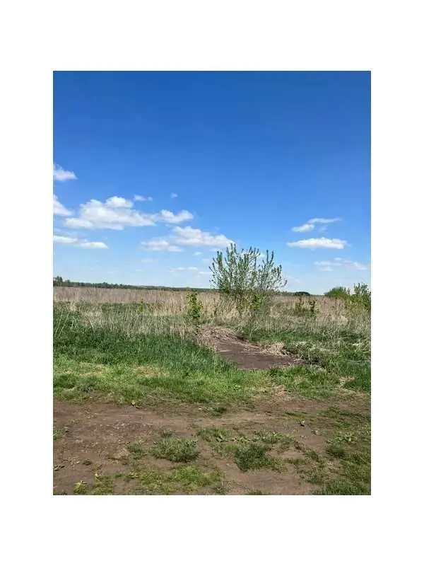 Фото Продаю земельну ділянку, Озера, ціна: 266400 UAH, код 6425