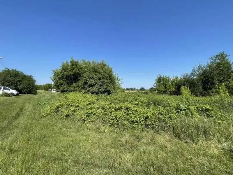 Фото Продаю земельну ділянку, Пасічанська вул.  Пухівка, ціна: 435071 UAH, код 6429