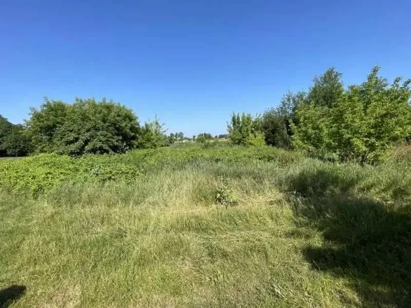 Фото Продаю земельну ділянку, Пасічанська вул.  Пухівка, ціна: 435071 UAH, код 6429